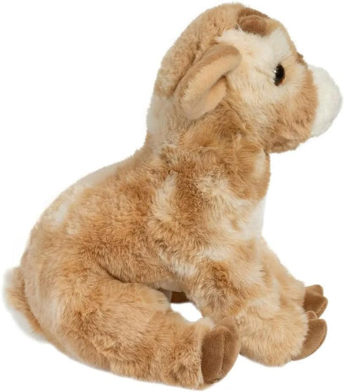 DANDIE GOAT SOFT